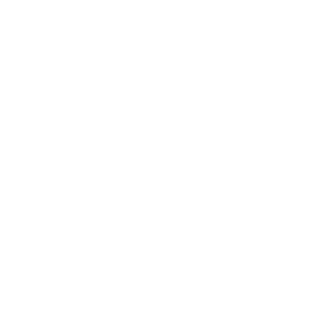 Velbae Logo